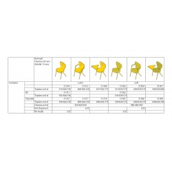 Compass Lupo 4 Ayaklı Yazı Tablalı Sandalye Compass Lupo 4 Ayaklı Yazı Tablalı Sandalye