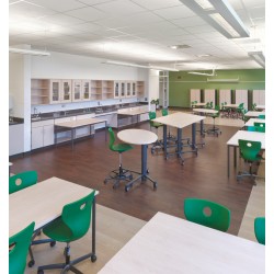 PantoMove-LuPo Çemberli Sandalye PantoMove-LuPo Çemberli Sandalye