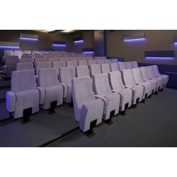 Konferans - Sinema Salonları