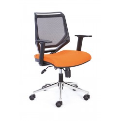 Crazy Personel Koltuk Crazy Personel Koltuk