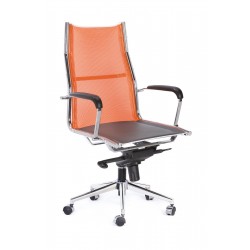 Anastos Yönetici Koltuk Anastos Yönetici Koltuk