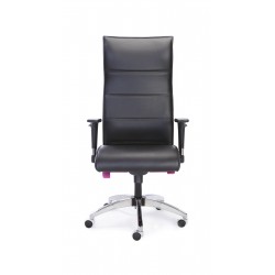 Raby Yönetici Koltuk Raby Yönetici Koltuk