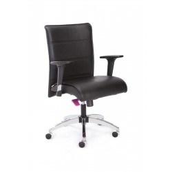 Raby Yönetici Koltuk