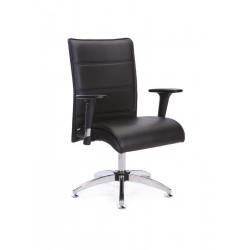 Raby Yönetici Koltuk Raby Yönetici Koltuk