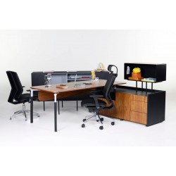 Goya Exe Yönetici Takımı Goya Exe Yönetici Takımı